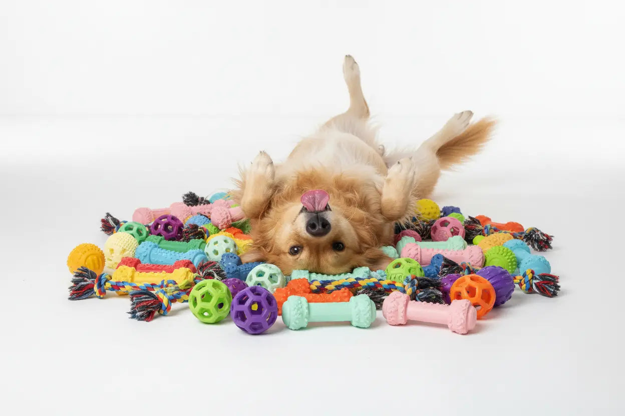 Spielzeuge für Hunde