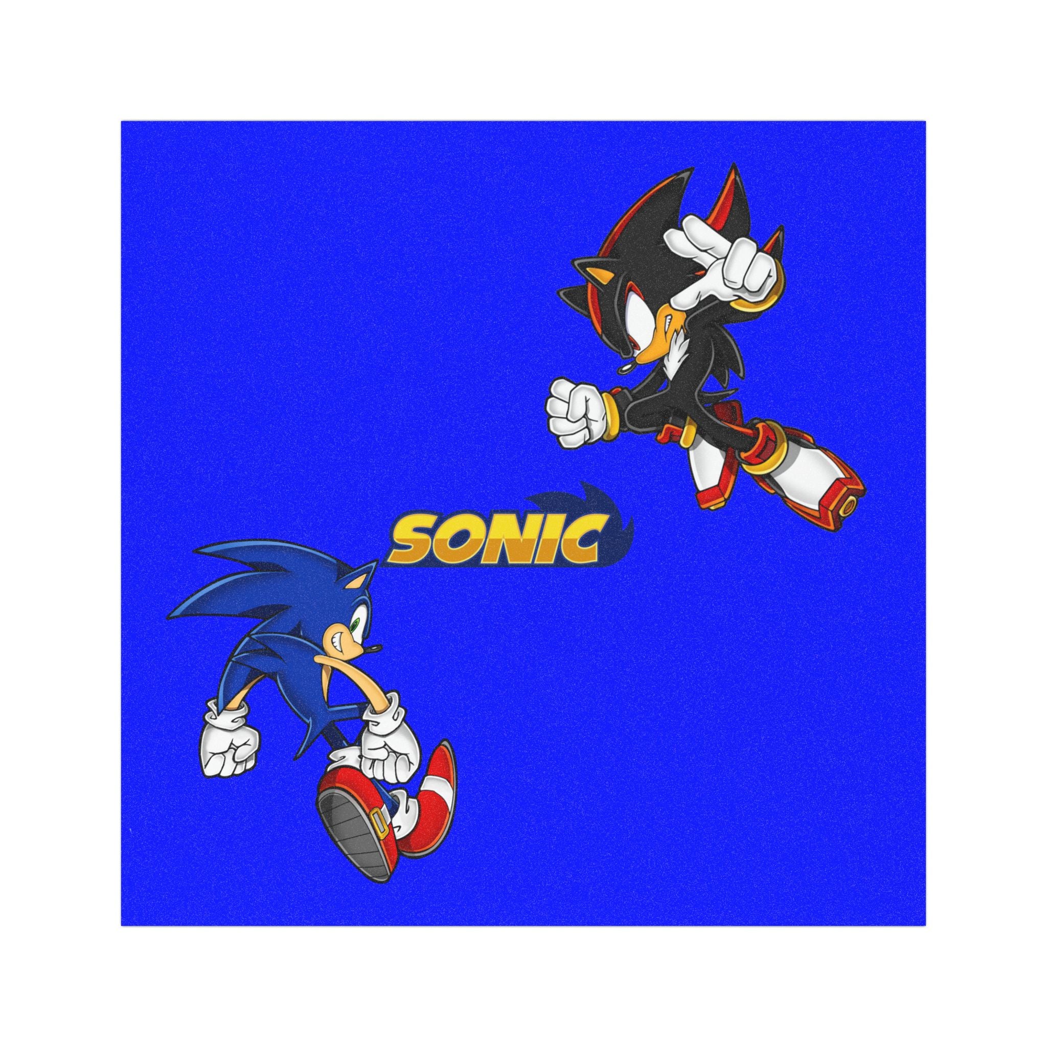 Sonic & Shadow Characters Car Magnet Printify