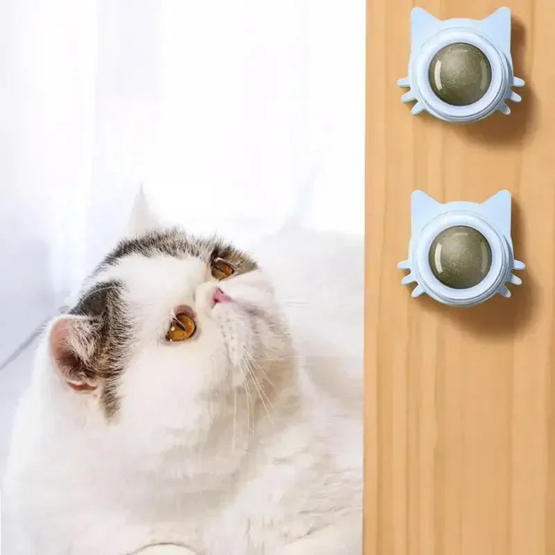 Katzenspielzeug Wand-Spinner mit Catnip – Interaktives Indoor-Spielzeug Spieldorf