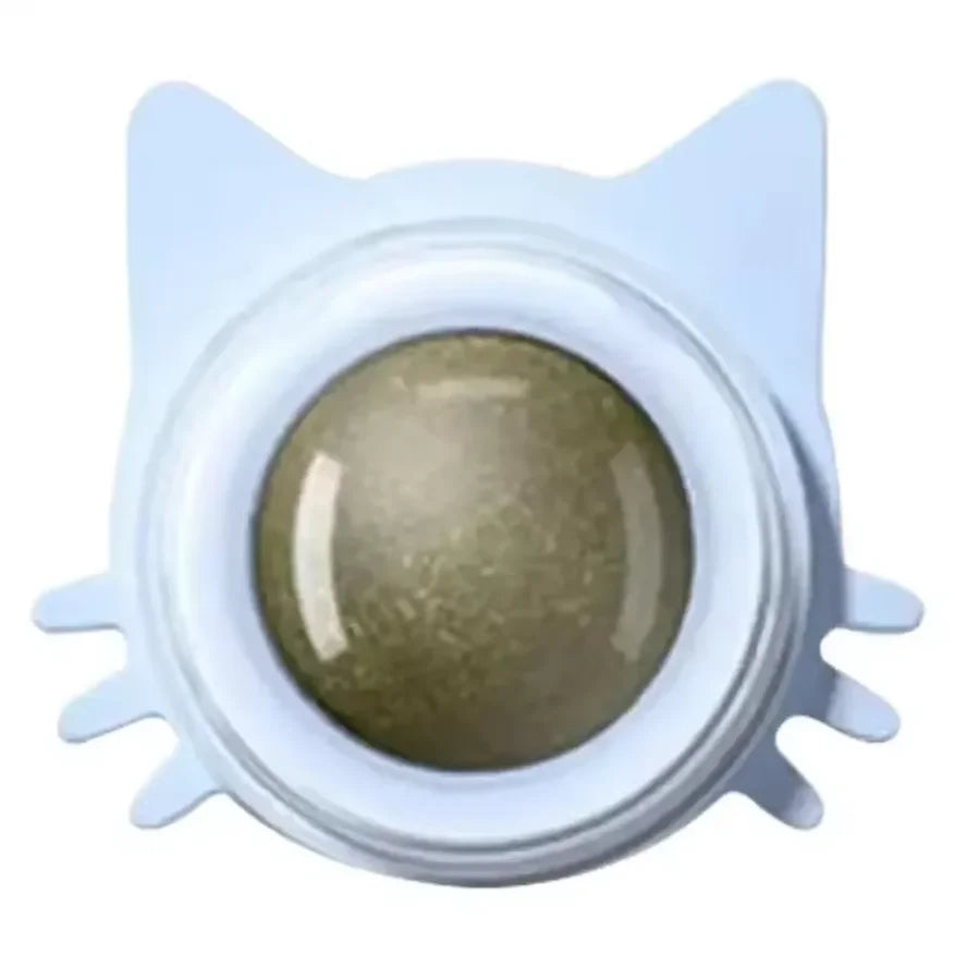 Katzenspielzeug Wand-Spinner mit Catnip – Interaktives Indoor-Spielzeug Spieldorf