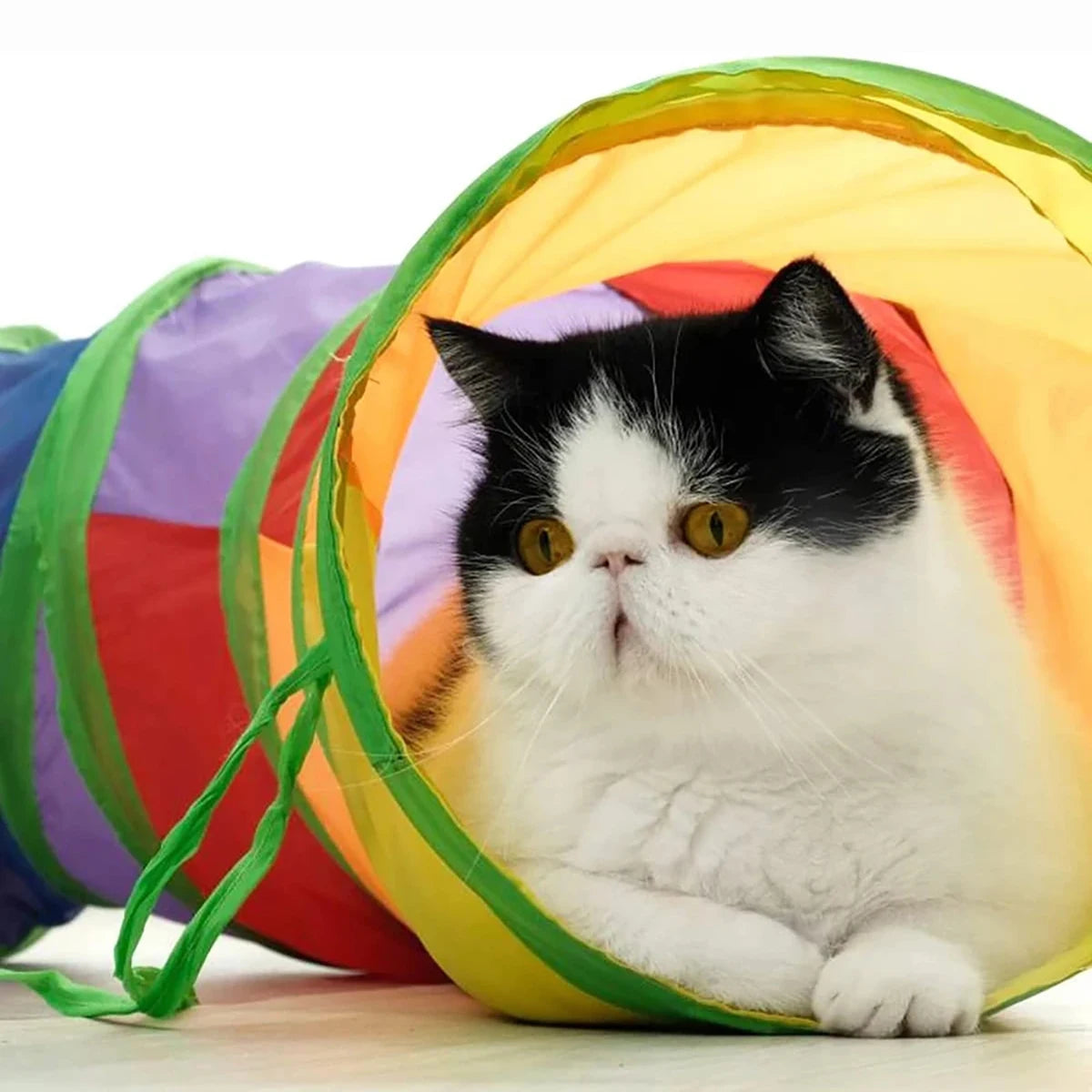 Katzentunnel faltbar – Interaktives Spielzeug für Katzen, Kaninchen & Welpen Spieldorf
