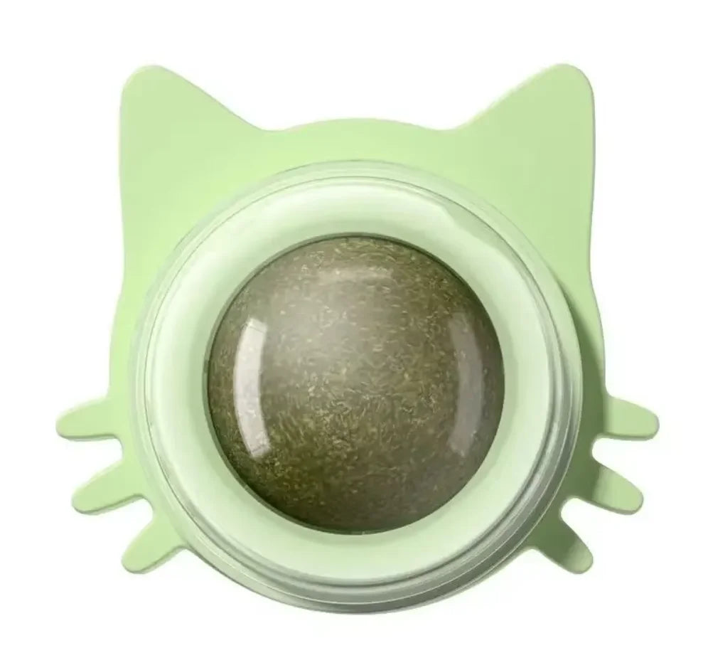 Katzenspielzeug Wand-Spinner mit Catnip – Interaktives Indoor-Spielzeug Spieldorf
