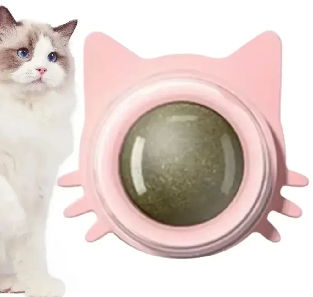 Katzenspielzeug Wand-Spinner mit Catnip – Interaktives Indoor-Spielzeug Spieldorf