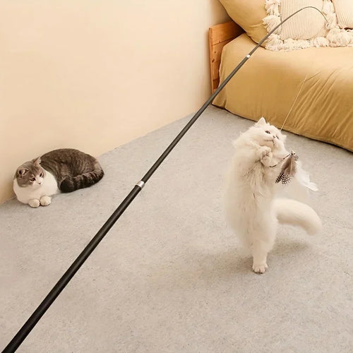 Ausziehbare Katzenangel mit Feder – Teleskop-Spielrute für Katzen Spieldorf