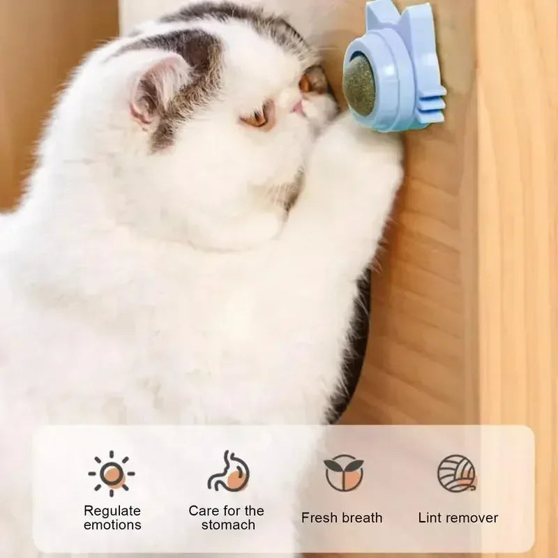 Katzenspielzeug Wand-Spinner mit Catnip – Interaktives Indoor-Spielzeug Spieldorf