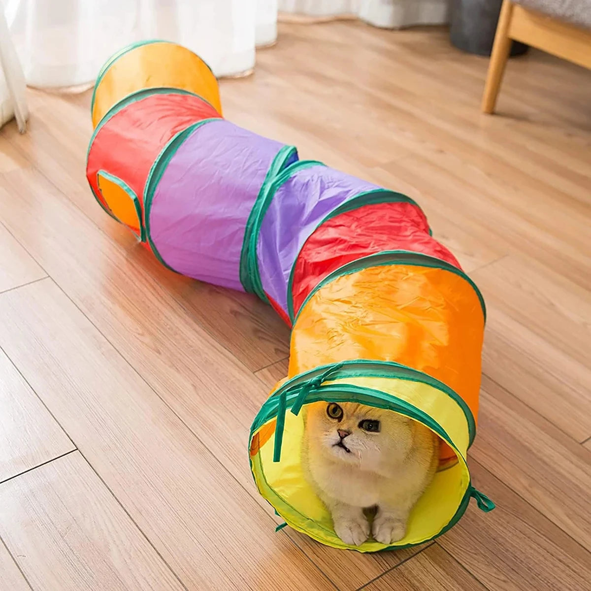 Katzentunnel faltbar – Interaktives Spielzeug für Katzen, Kaninchen & Welpen Spieldorf